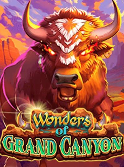 Cricket match odds game cover